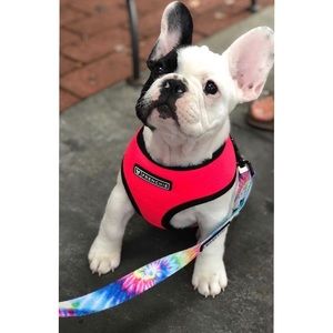 Welcome to my page!!!